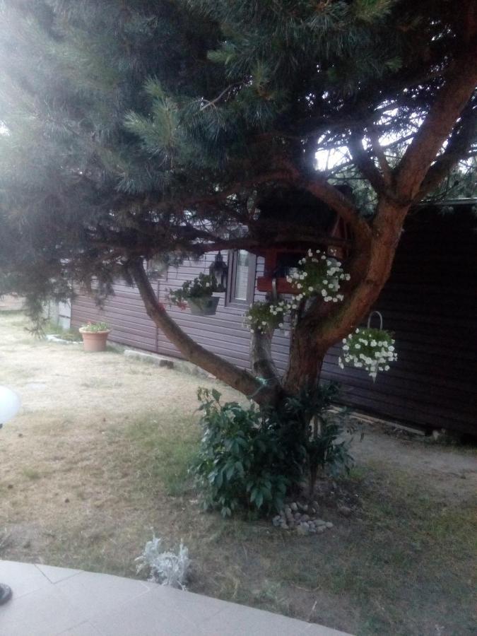 Chabrowa Perla Διαμέρισμα Jarosławiec Εξωτερικό φωτογραφία